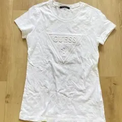 Item thumbnail for item 82ce141e-8e33-4582-a0ea-54cce1da3820