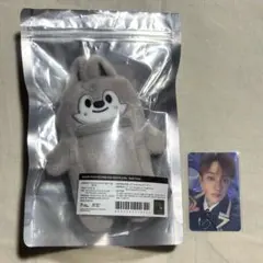 straykids スキズ フォトカードホルダー ウルフチャン