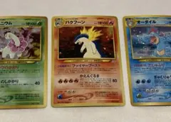 【並〜良品】バクフーン　オーダイル　メガニウム　プレミアムファイル　旧裏　御三家