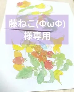 ✳️藤ねこ(ΦωΦ)様専用ページ✳️
