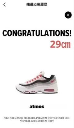 Nike Air Max 95 ナイキ エアマックスレッドグラデ 29.0cm