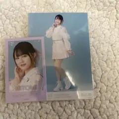 Item thumbnail for item a6039a5b-6cbd-4c8b-bb54-1f623eec0632