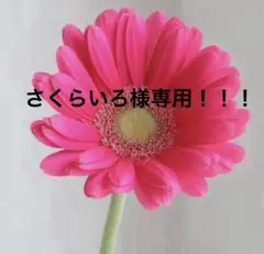 さくらいろ様専用！！！！