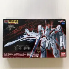 DX超合金GE-42 VF-25F メサイアバルキリー 早乙女アルト機