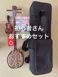 2026年最新】三味線 弦 セットの人気アイテム - メルカリ