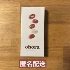 ohora ジェルネイルシール　ND-003-J N HATSU KOI