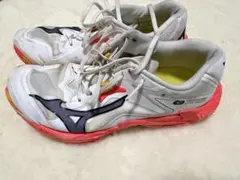 ミント様m(_ _)m。MIZUNO バレーボールシューズ V1GX235500 - メルカリ