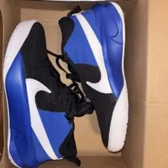 Item thumbnail for item c593619e-8484-418c-9272-72724251732d