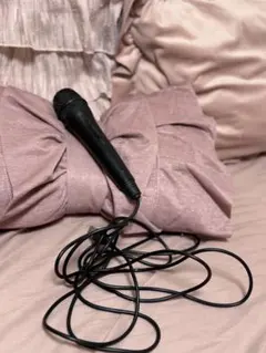 【16日迄値下げ】 有線マイク ボタン付き 黒色