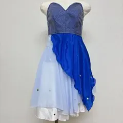 バレエ 衣装 ワンピースタイプ チュチュ