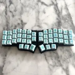 おさかなキーボード 大西拓磨 - メルカリ