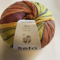 ⭐︎1424 Seta 海外ソックヤーン　中細　シルク混