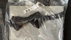 Item thumbnail for item 673e0f5d-b313-4e07-bac7-27293c6742c6