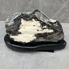 台座付き】珪化木 木の化石 2926g 鑑賞石 銘石 骨董 祖父の遺品 - メルカリ