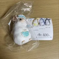 チラっしゃいませ C-pla限定 ぎんがむ