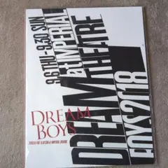 DREAM BOYS パンフレット