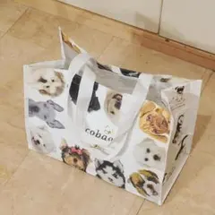 Item thumbnail for item ecf05330-199b-4e07-b746-a97ab849f76c