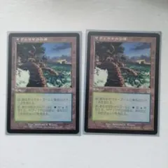 MTG ヤヴィマヤの沿岸 日本語 マジクザギャザリング - メルカリ