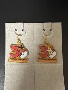ポケモン 30周年 ポケチャーム ポカブ フォッコ