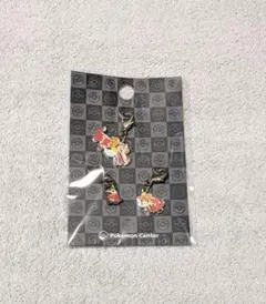 全国ずかんメタルチャーム