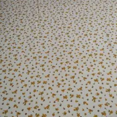 Item thumbnail for item 549a9039-4822-486f-a966-4eb69eea7919