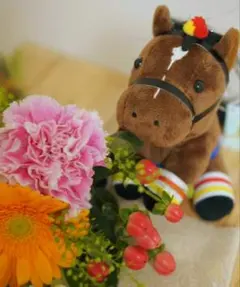 新品タグ付き リバティアイランド Sサイズ オークス ★お顔厳選★