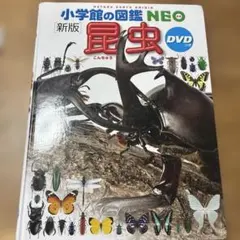 Item thumbnail for item f3e021b0-eca5-469e-9655-0f413f0cea31