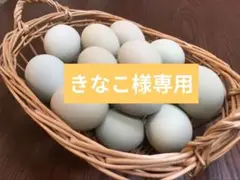 きなこ様専用　青いたまご　アローカナ　平飼いたまご　48個