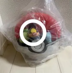 ポケモン 一番くじ ポカブ