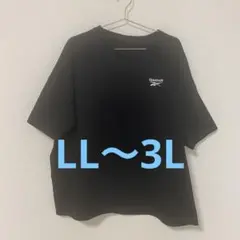 Reebok 半袖Tシャツ　LLサイズ 〜3L 胸刺繍ロゴ　バックビックロゴのサムネイル
