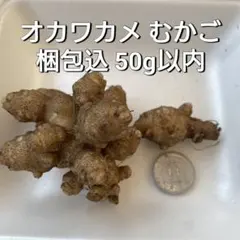 アキ翔様 リクエスト 2点 まとめ商品