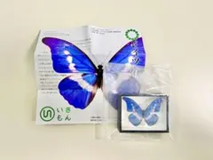 2025年最新】ヘレナモルフォの人気アイテム - メルカリ