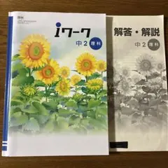 Item thumbnail for item ec9c8a64-9461-49b5-bf74-fbb55a9429e3