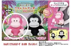 ウホウホゴリくんきのこJBぬいぐるみ ゴリくん - メルカリ