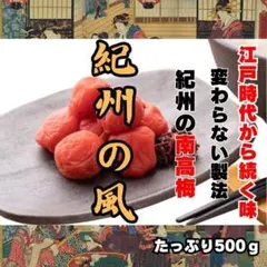 産地直送　紀州南高梅 500g つぶれ梅 無添加 和歌山 紀州 白梅
