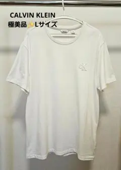 極美品✨CALVIN KLEIN✨ CKロゴ刺繍 ホワイト Tシャツ　Lサイズ