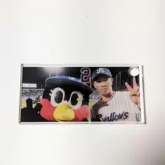 古賀優大 つばみ 鳥づくし定食 アクリルプレート 東京ヤクルトスワローズ