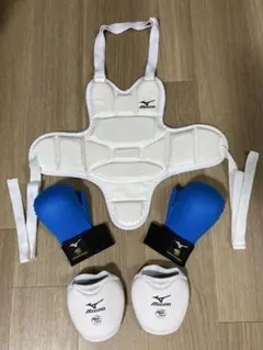 Mizuno 空手 防具セット ホワイト - メルカリ