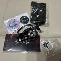 straykids アプグレ特典