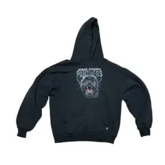 Item thumbnail for item 519727ee-bfdd-43b1-816e-a80cd4b5bb78