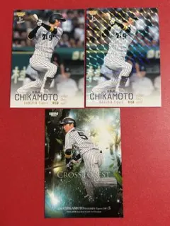 近本光司 シークレット BBM 2026 1st 阪神タイガース - メルカリ