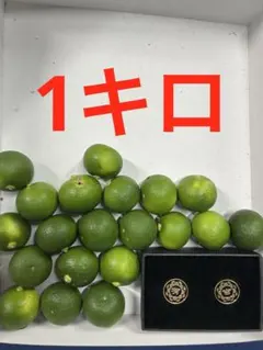 ハウススダチ 家庭用 4キロ 入札式 - メルカリ