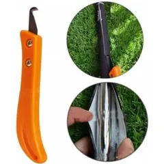 Item thumbnail for item 622ac110-a47c-45b2-ba7e-e03da729df54