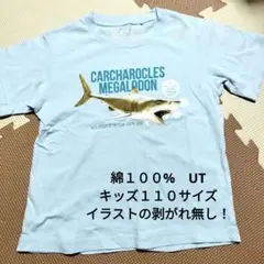 １１０サイズ　半そでTシャツ　サメ　メガロドン　保育園着