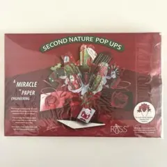 【未使用品】RUSS クリスマス ポップアップカード