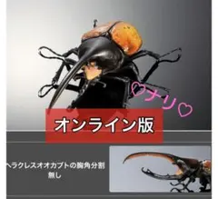 オンライン版　ヘラクレス・エクアトリアヌス　いきもの大図鑑アドバンス　昆虫