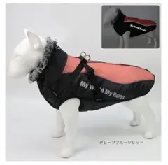 Item thumbnail for item aeedeae3-d26f-4531-bdf2-cd12f691d85f