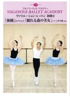 Item thumbnail for item cd255cb3-d97b-45f5-8f7e-04f1b879cf0a