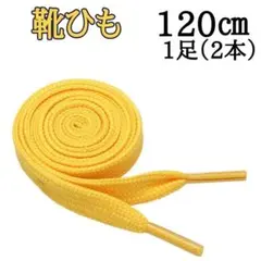黄色 120cm 靴紐 シューレース 平紐 靴ひも スニーカー 無地 1
