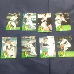 Item thumbnail for item c74c4d2b-6e9d-4acf-863e-b38b099096c5